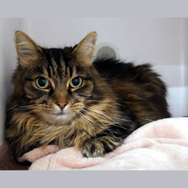 Photo of Mia Sua014644