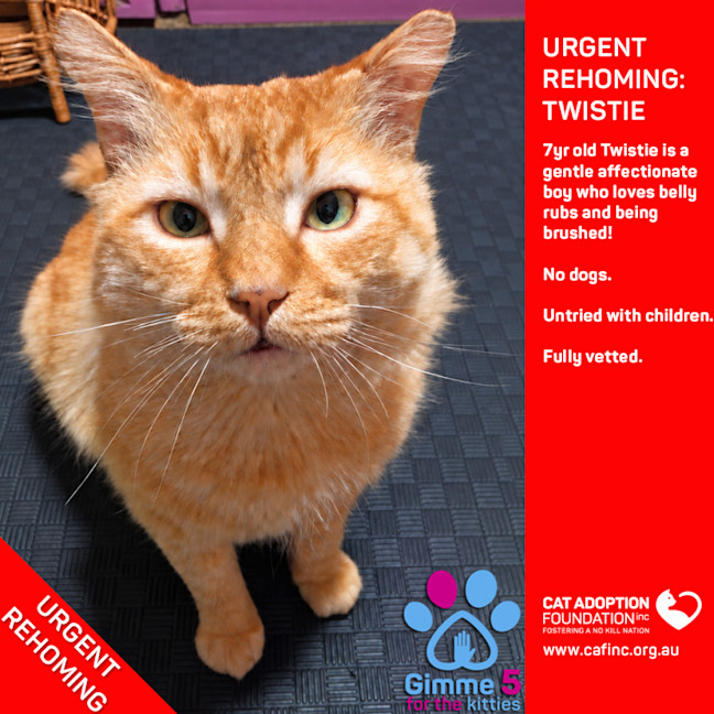 Photo of Twistie