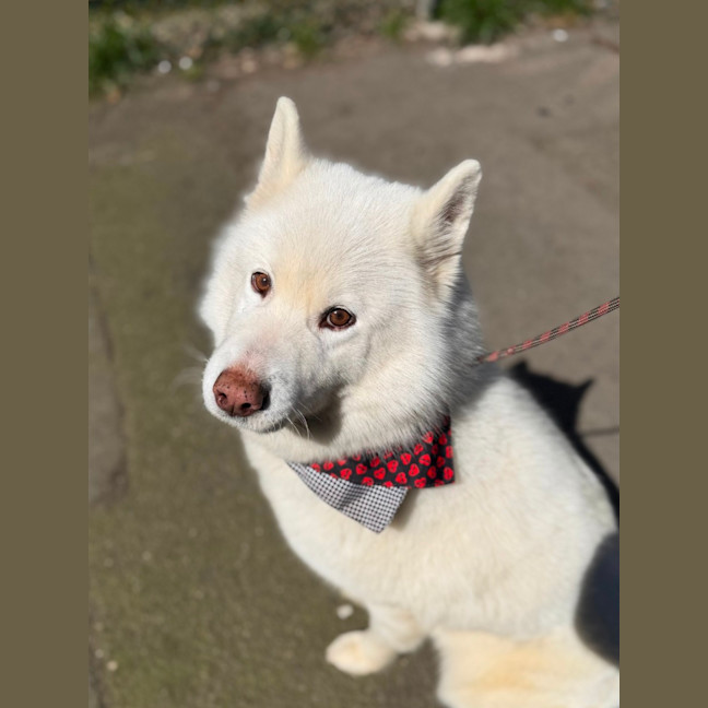 Photo of Narla