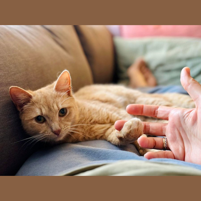 Photo of Abigail   Located In Fairfield