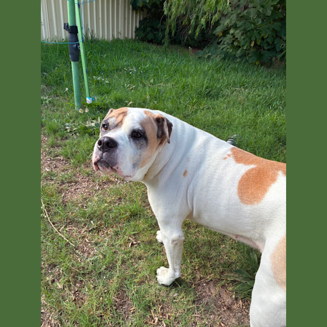 Photo of Payton 