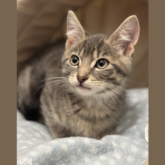 Photo of Ash