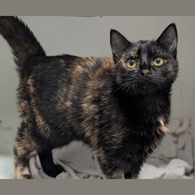 Photo of Kiki