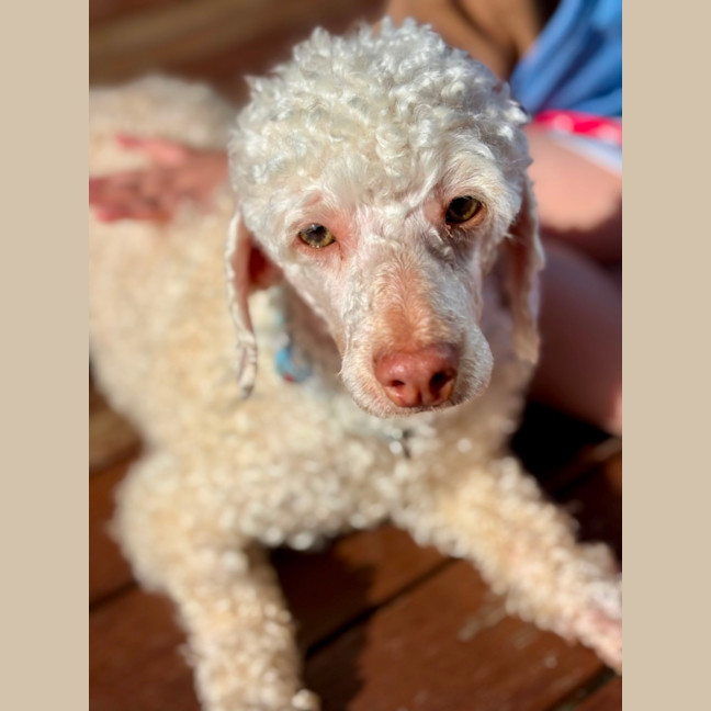 Photo of Winny