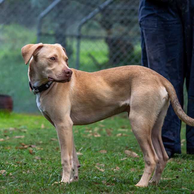 Photo of Cash