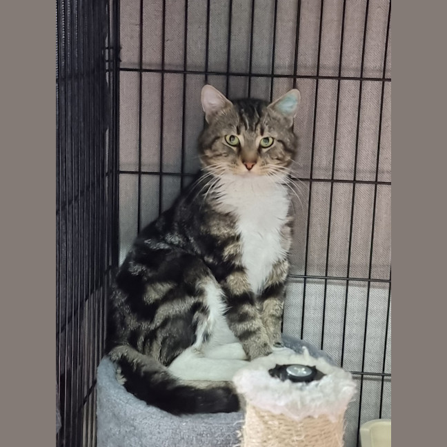Photo of Thomas