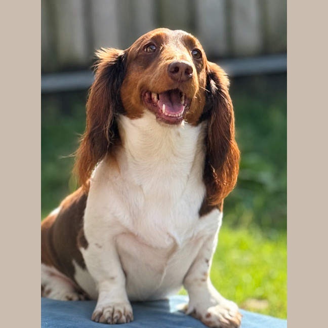 Photo of Pablo