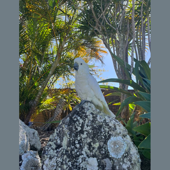 Photo of Miss Patricia 