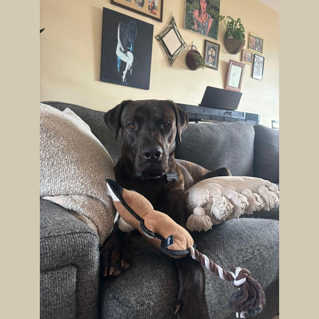 Photo of Benny