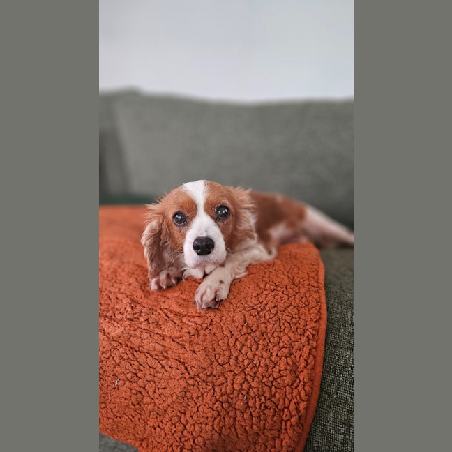 Photo of Lexi