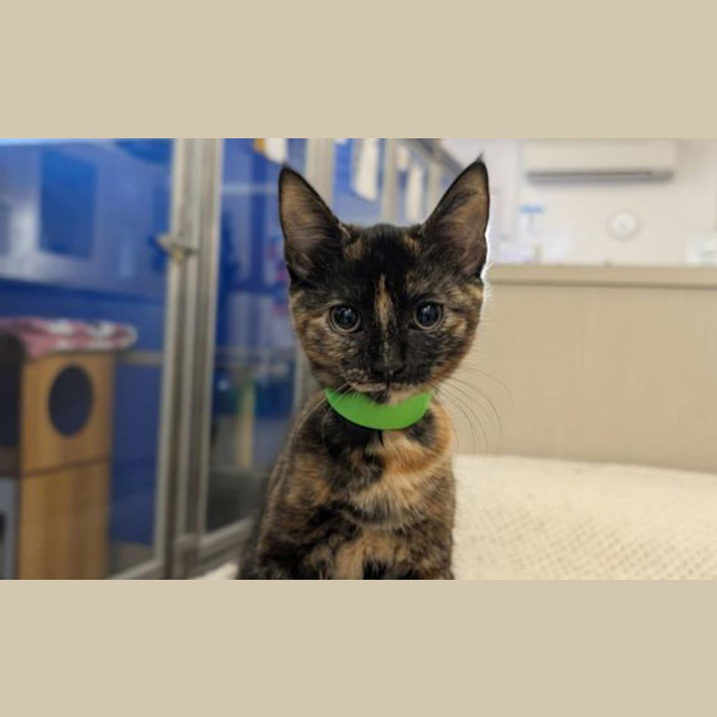 Photo of Eenie