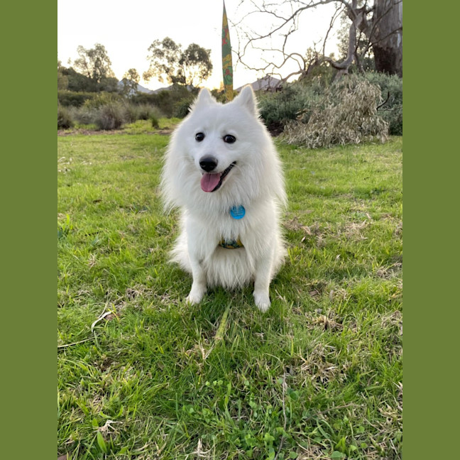 Photo of Casper 