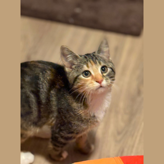 Photo of Cleo