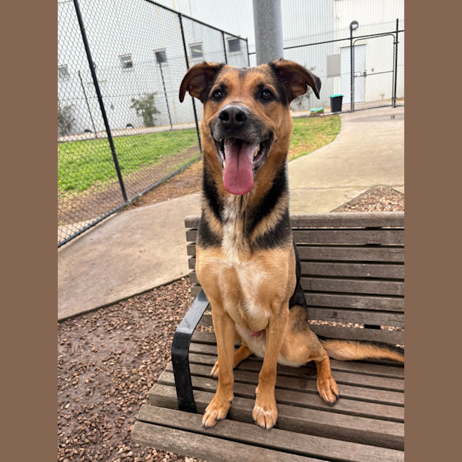 Photo of Ollie (Eddie)