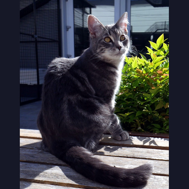 Photo of Jeremy Stk012743