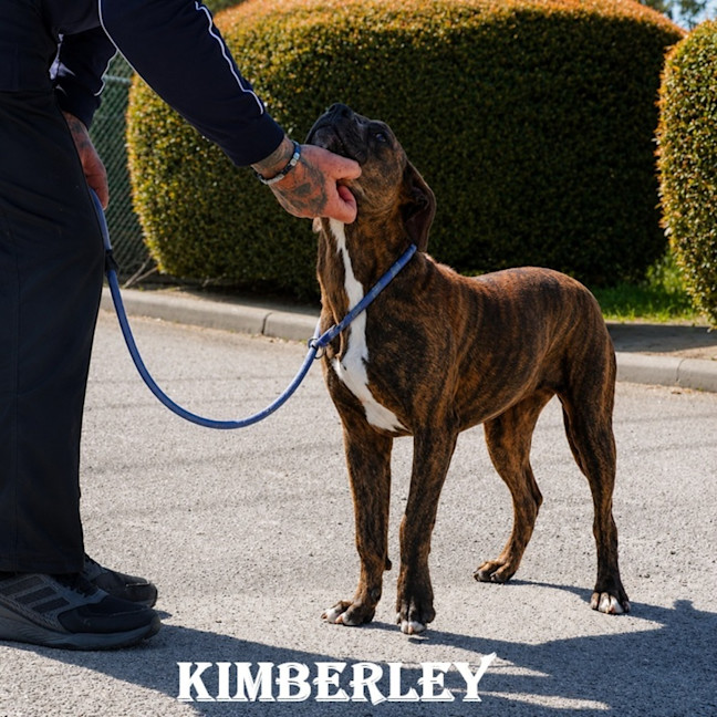 Photo of Kimberley