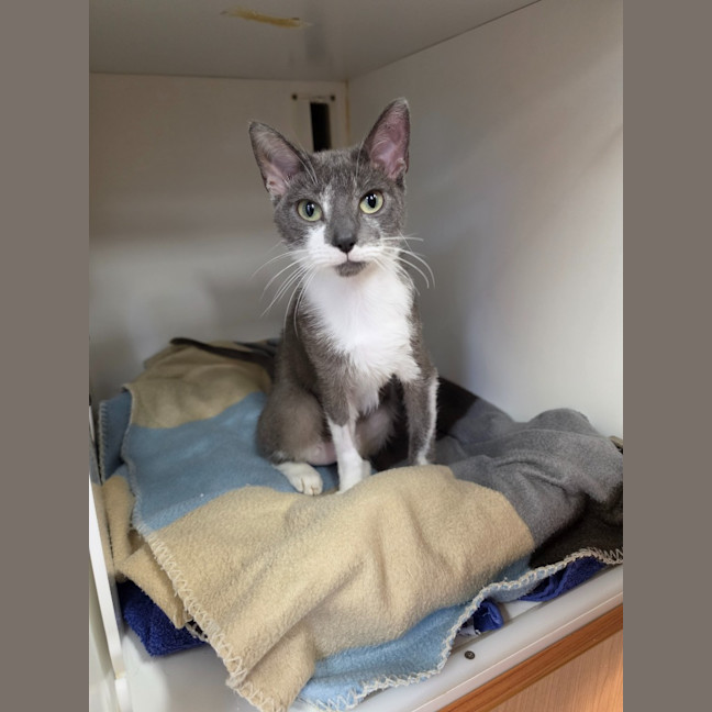 Photo of Tinkerbell