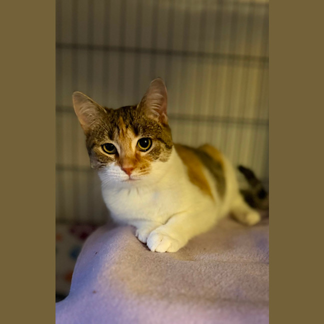 Photo of Laynee 🌺