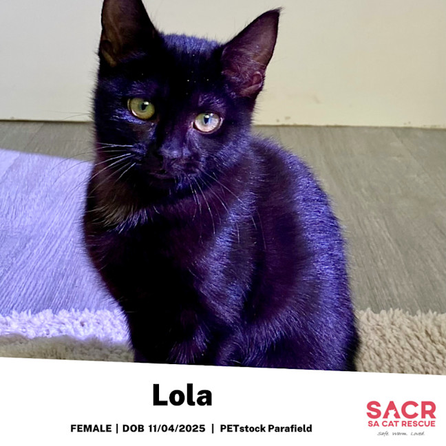 Photo of Lola
