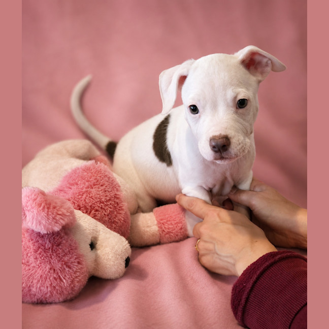 Photo of Susie
