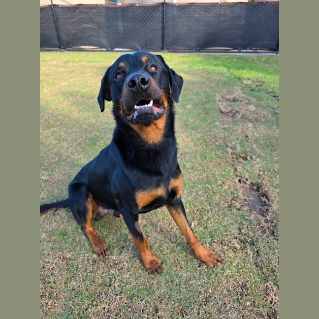Photo of Zeus