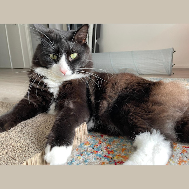 Photo of Inky