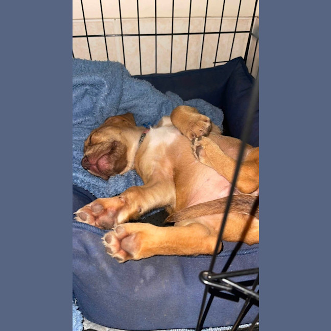 Photo of Hazel