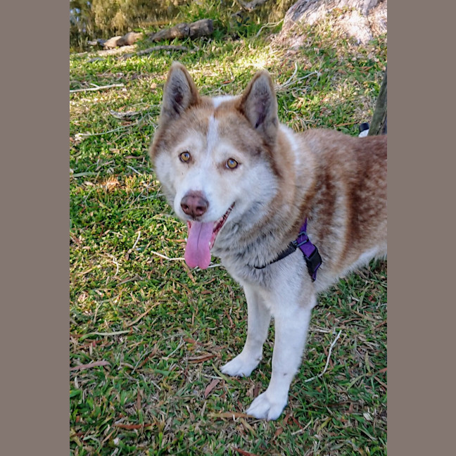 Photo of Storm