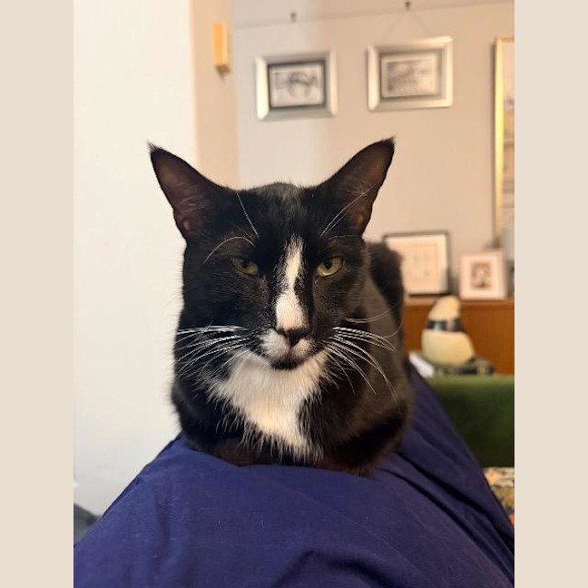 Photo of Claude