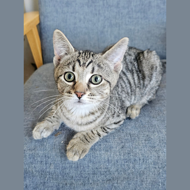 Photo of Janice