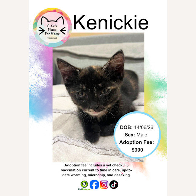 Photo of Kenickie