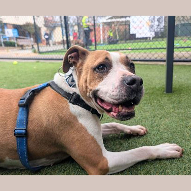 Photo of Roxy