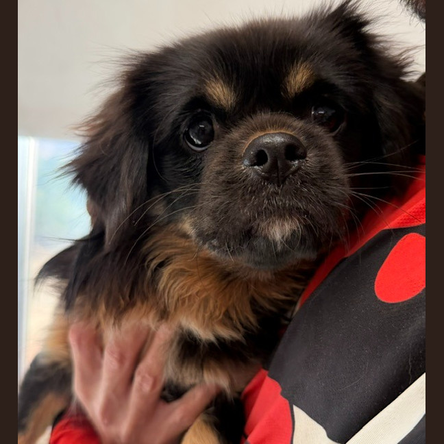 Photo of Kiki