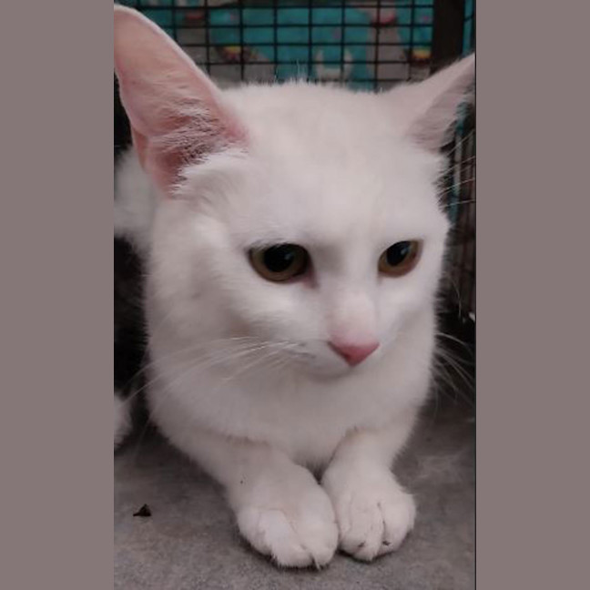 Photo of Queen Elinor 