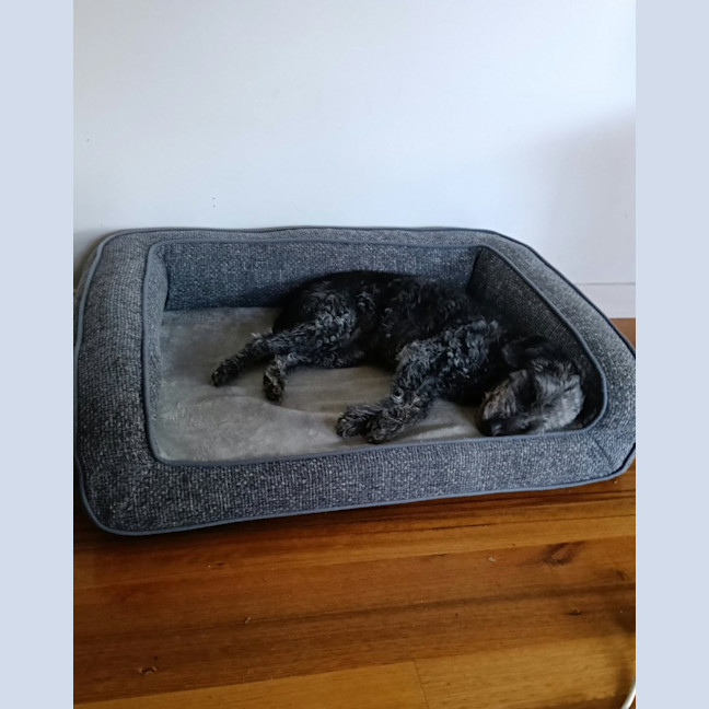 Photo of Wanda