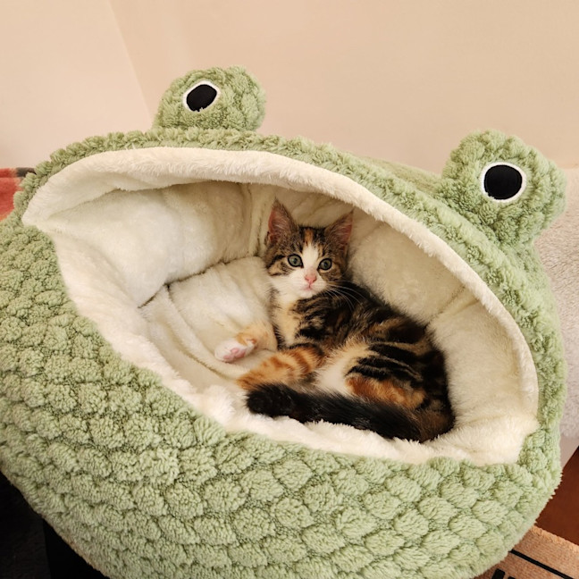 Photo of Gemma