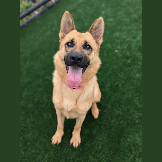 Photo of Gabrielle Imp 2805