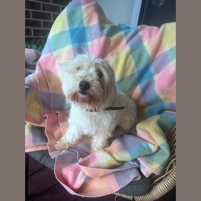 Photo of Holly