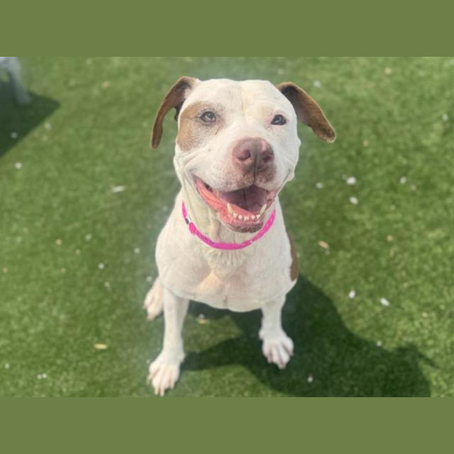 Photo of Maggie Imp 2450