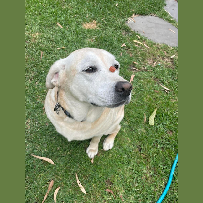 Photo of Sally