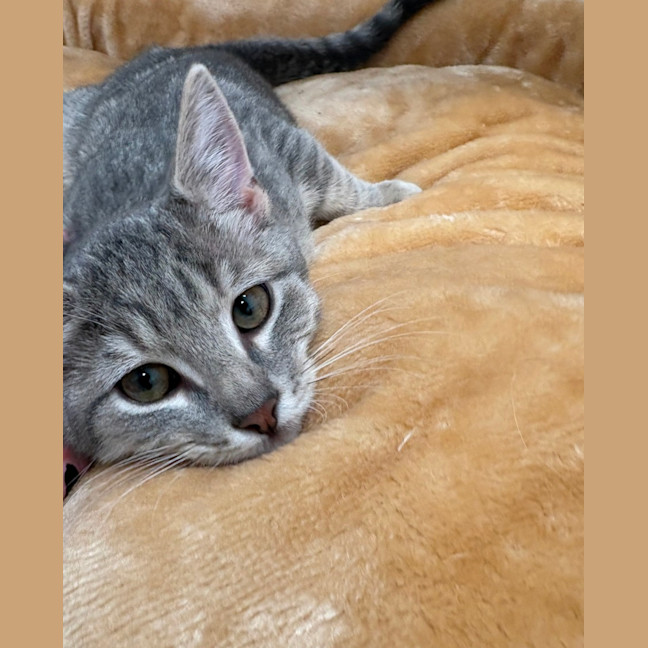 Photo of Hugo
