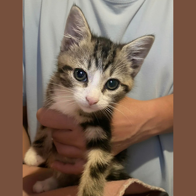 Photo of 🩷Juliet 🩷