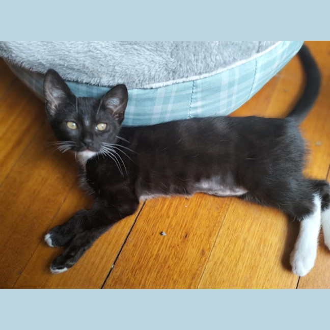 Photo of 🩵 Delilah 🩵