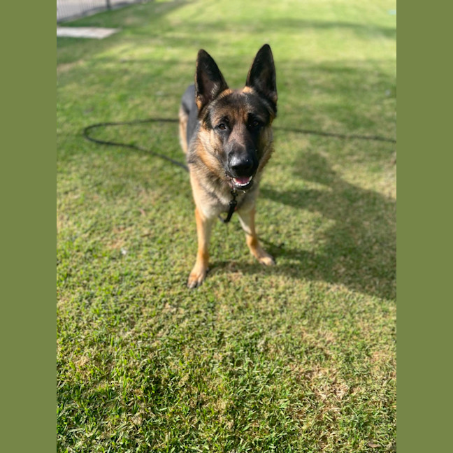 Photo of Oscar Brown