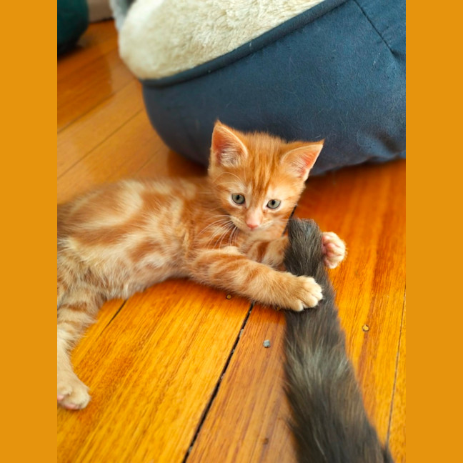 Photo of 🧡 G A R Y 🧡