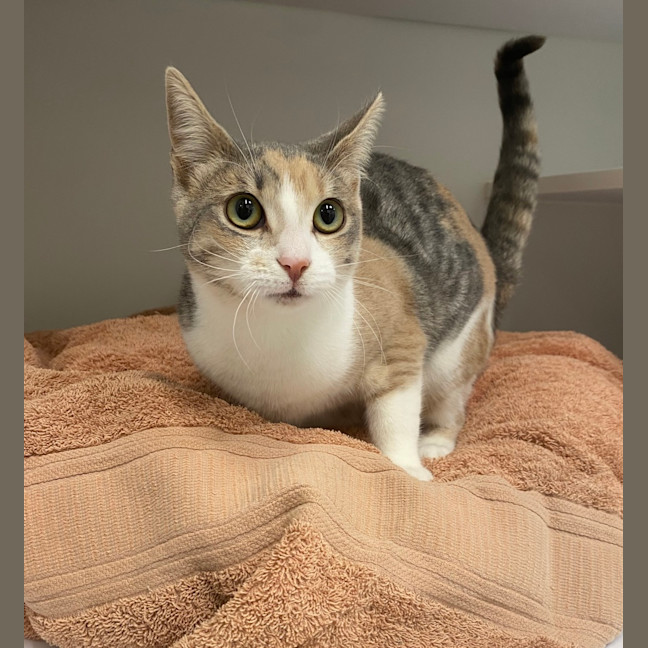 Photo of Charlene