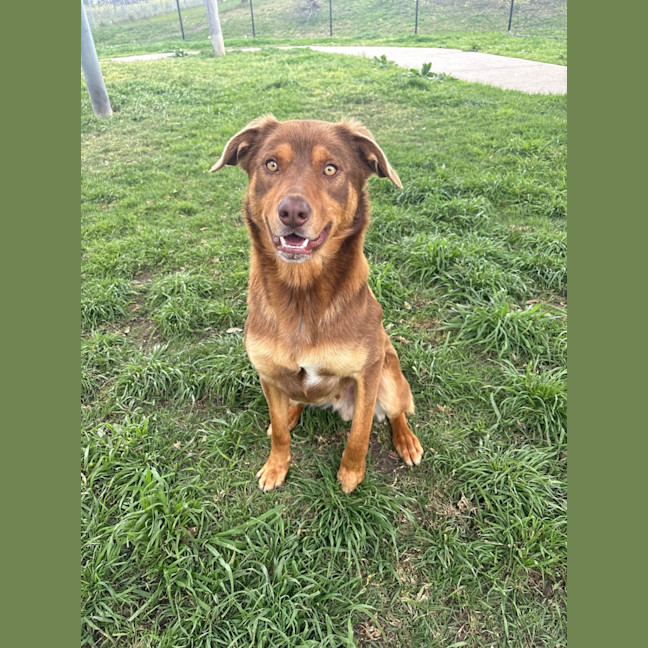 Photo of Alpha
