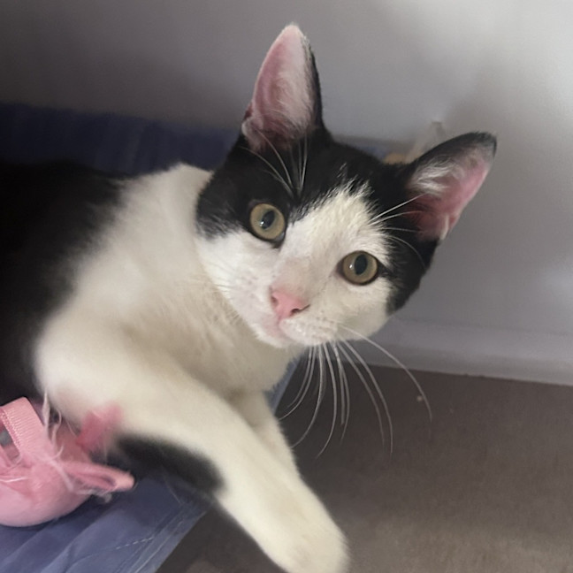 Photo of Sailor