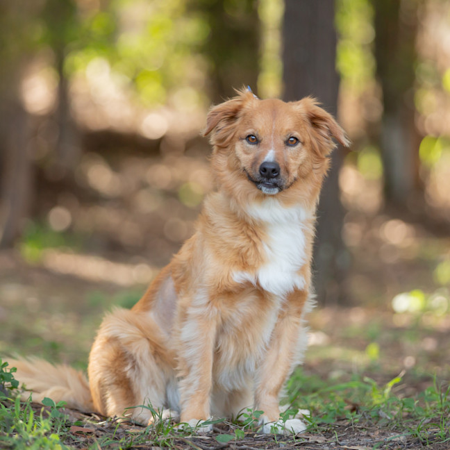 Photo of Buttons