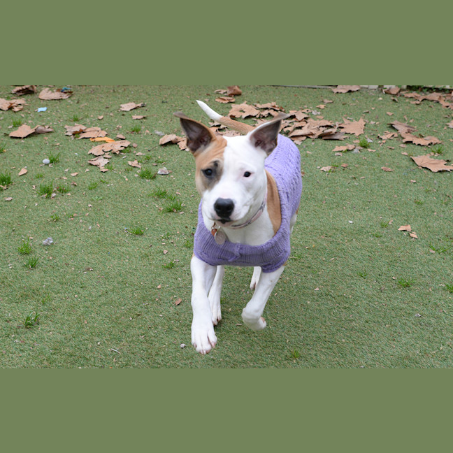 Photo of Queenie